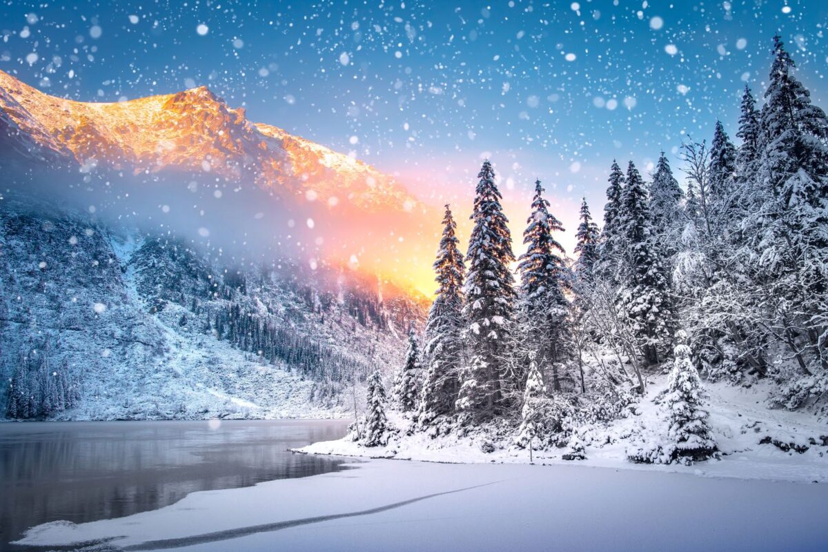 vinter träning
