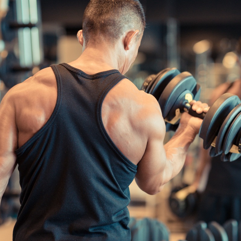 Styrketräning - Aktivitus Styrketräning