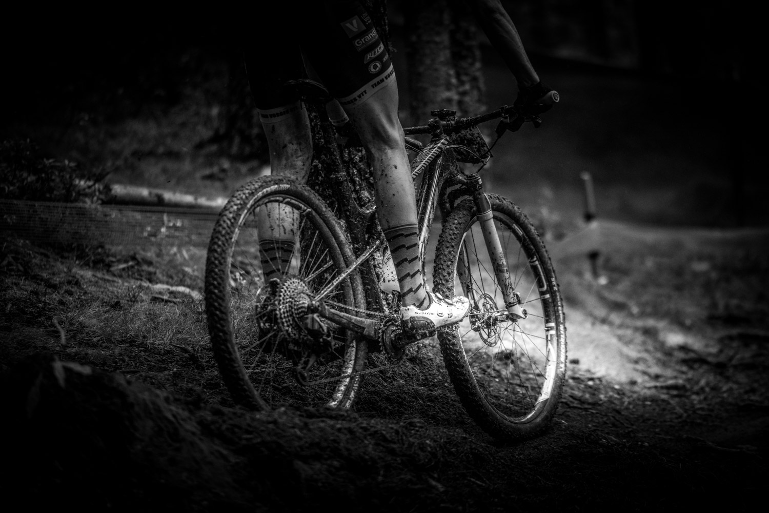 4G9A7751_JL_lowres - Aktivitus