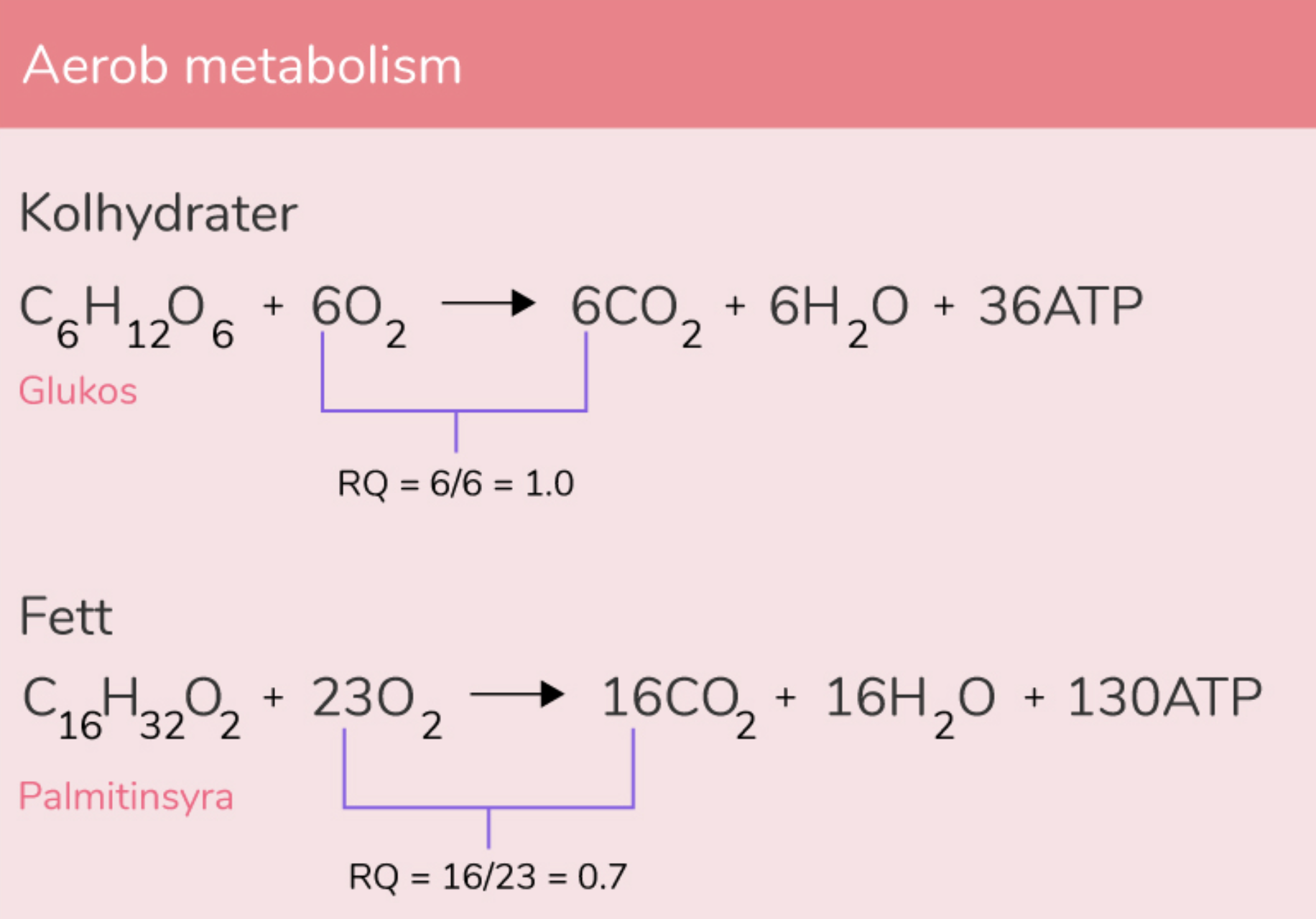 Aerob metabolism - Aktivitus