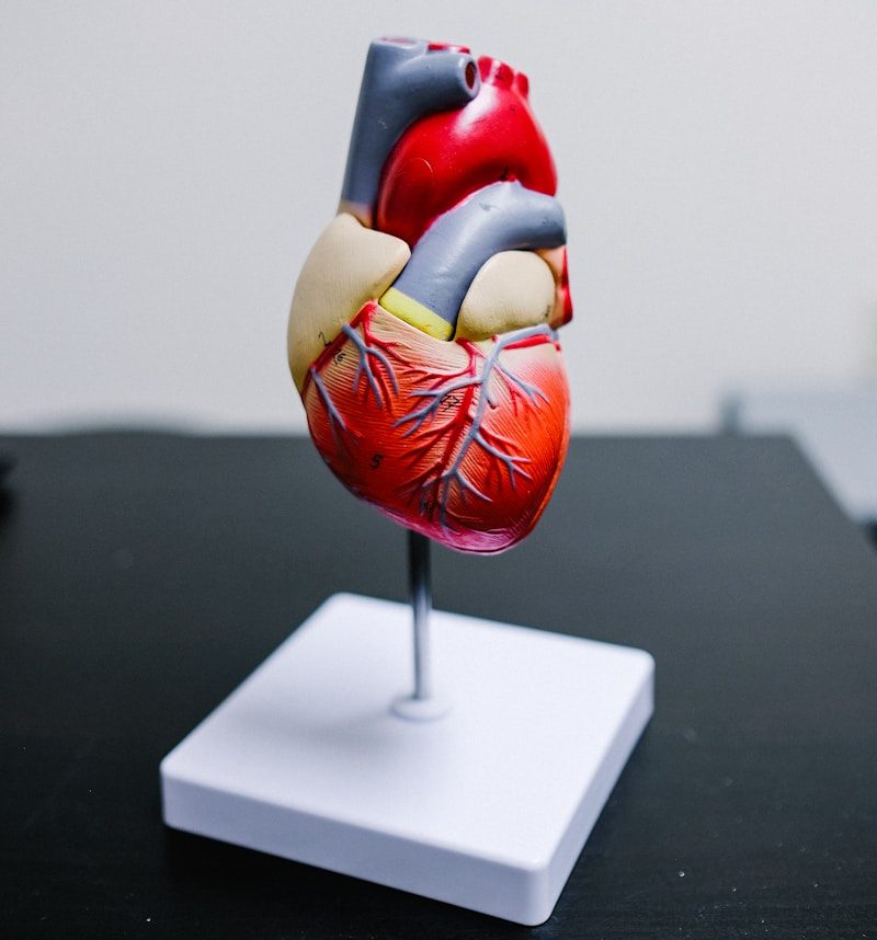 red and yellow bird figurine