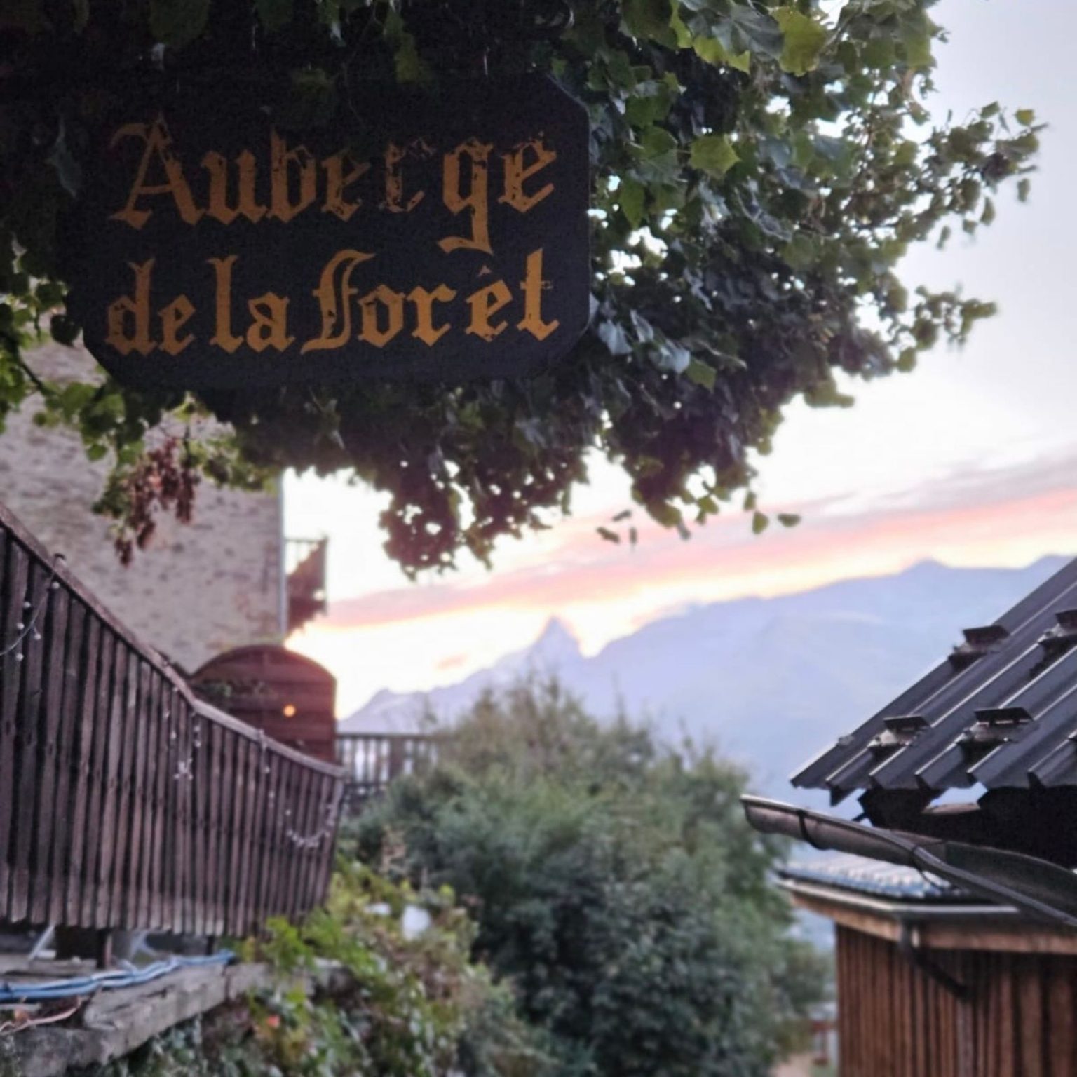 Sign reading 'Auberge de la forêt' hanging among ivy at an alley outside a rustic inn.