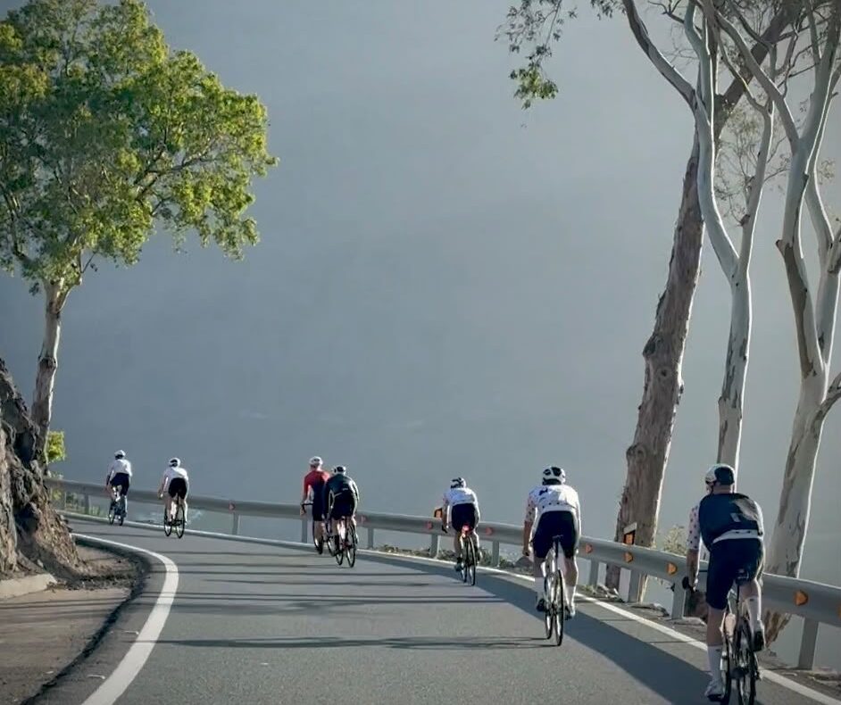 Group of cyclists riding a winding mountain road with a guardrail and tall trees on the right, hazy background hills.